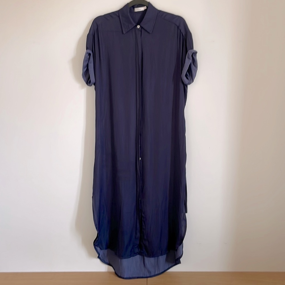 Skylar+Madison Silky Oversized Button Front Shirtdress